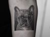 Tattoo Dog Hund